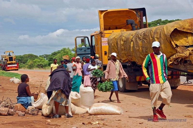 Zimbabwe travel (14b).JPG - Zimbabwean truck stop.